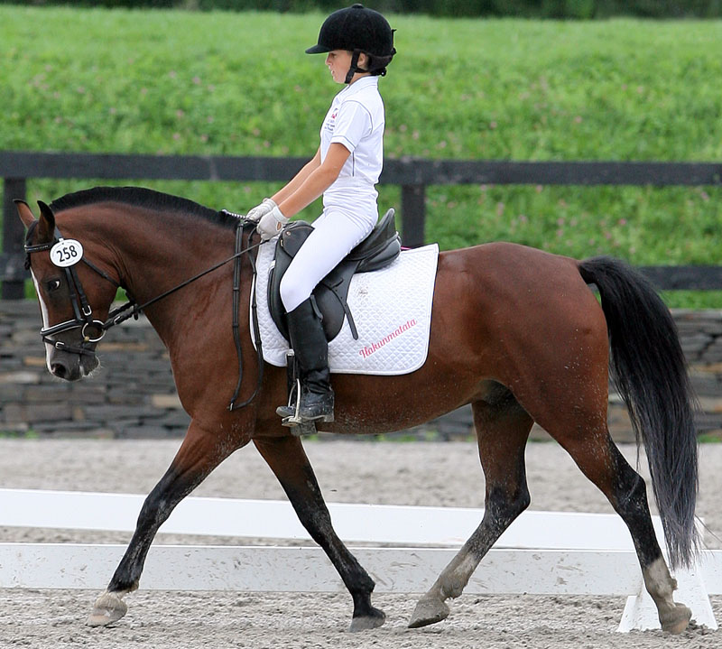 Pony Riders Fourth In Poland - Stableexpress